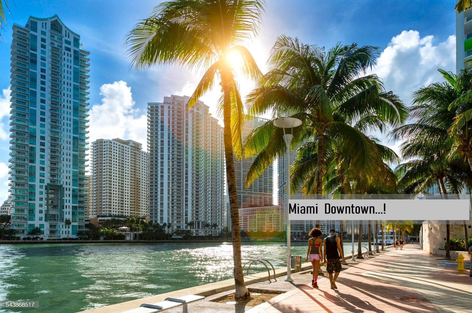 Experience The Perfect Miami Life!! Centrally Located Luxury Condo! Exteriör bild